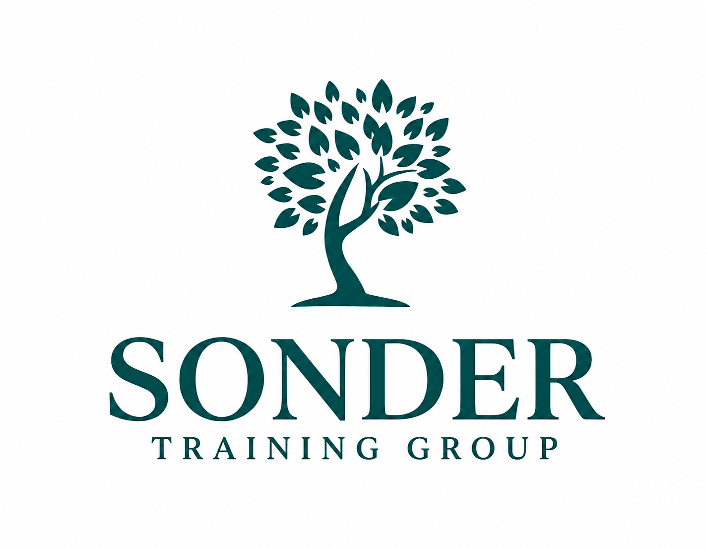 Sonder Training Group